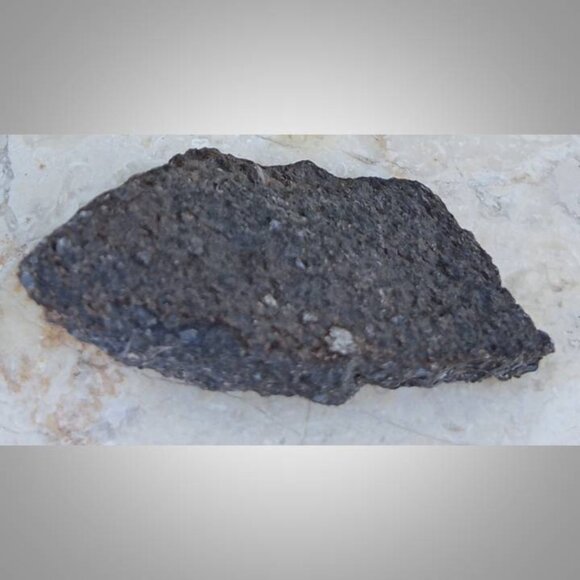 dinosaur bone fossil 02 - Picture 3 of 6